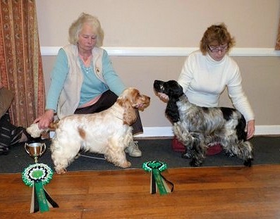 Cocker Puppy and Reserve Cocker Puppy of The Year 2011-2012