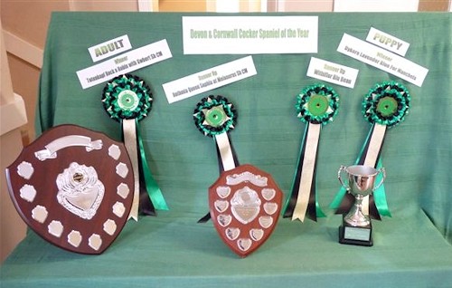 Trophies for Cocker of The Year 2012