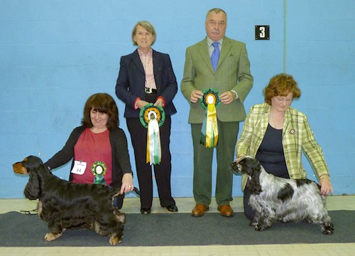 Best In Show Nov 2012