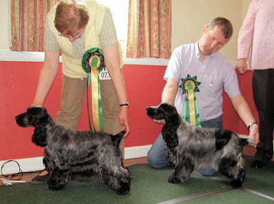 Best in Show and Reserve Best in Show May 2009