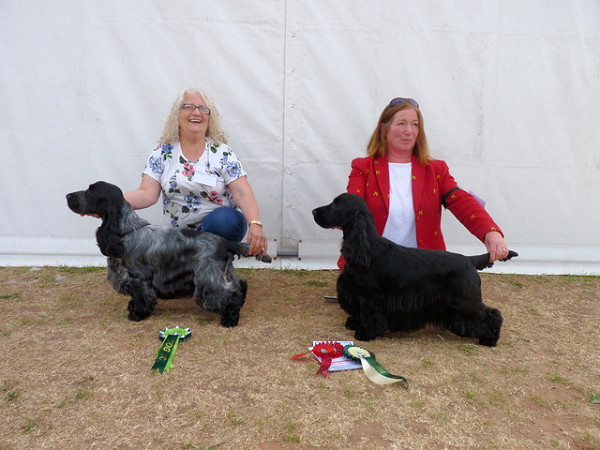 DCC & RDCC Ch Show 2026